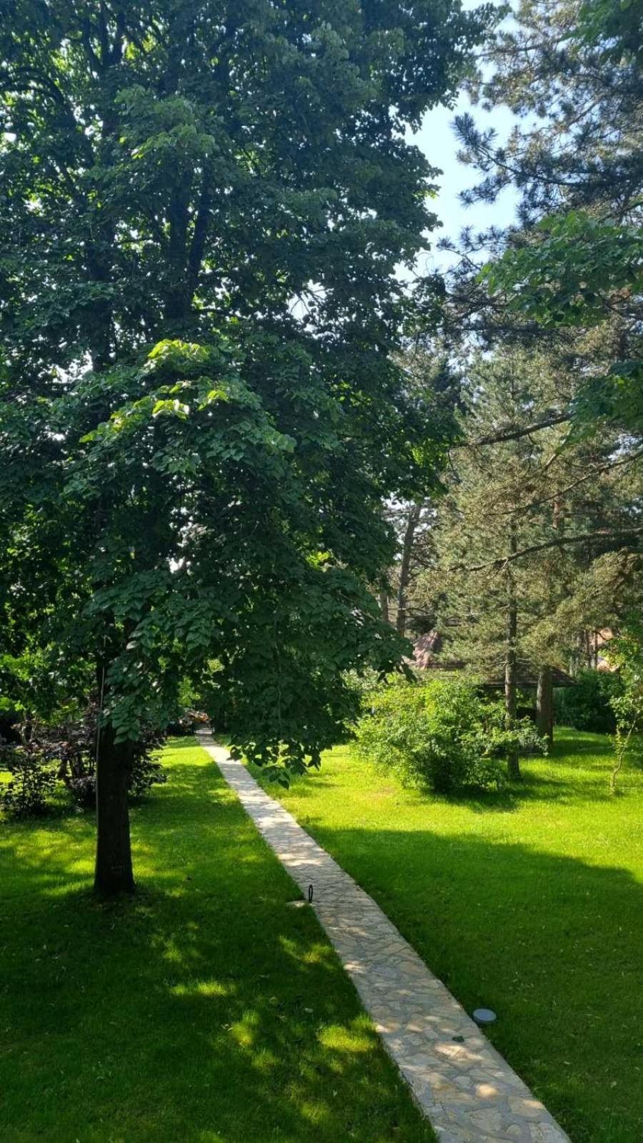Vila Lucic Златибор Екстериор снимка